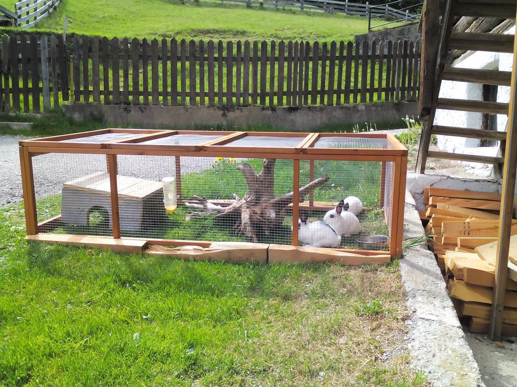 Haus Stabentheiner Lägenhet Birnbaum Exteriör bild