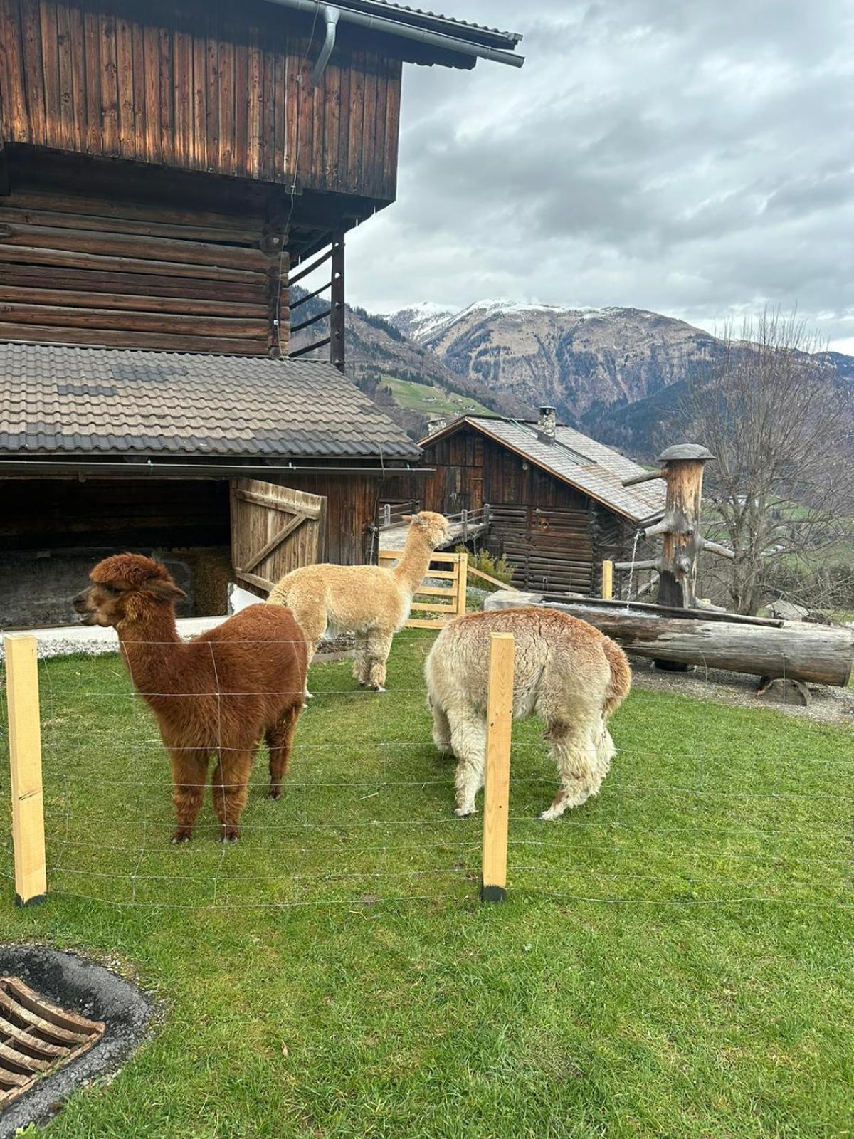 Haus Stabentheiner Lägenhet Birnbaum Exteriör bild